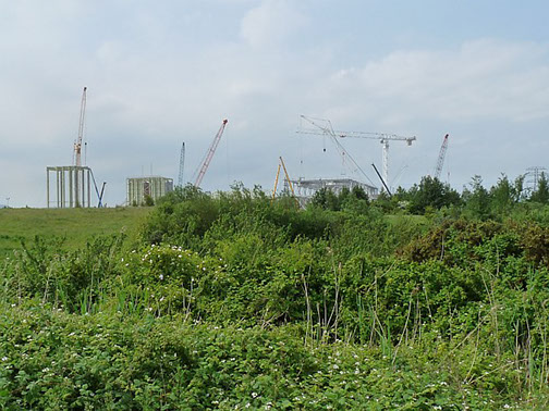 Picture of wetlands with construction in the background.