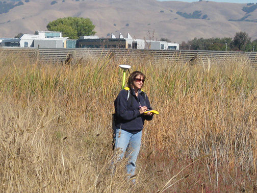 Picture of Kathy Kinsland using a GPS system to map an area.