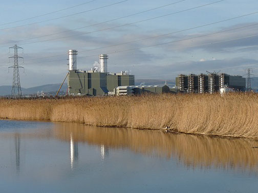 Picture of a power plant next to wetlands.