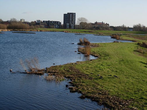 Picture of a pond with development in the background.