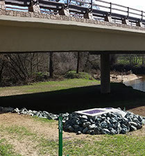 Picture of a large flock of birds in a wetland area.